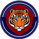 Team Delhi